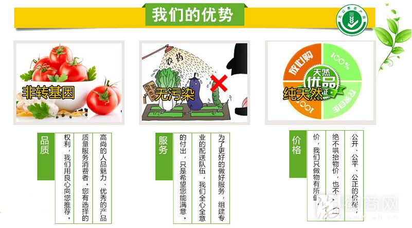 安徽徽情皖意电子商务有限公司