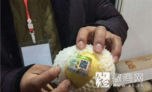 第十六届上海农展会