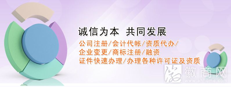 合肥紫罗兰财税咨询有限公司业务
