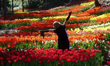 合肥桃蹊水果<a href='display.asp?id=11638' target='_blank'>农场</a>新增500亩“花海” 赏花踏青好去处