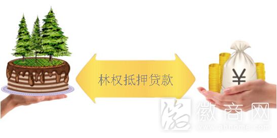林权抵押贷款
