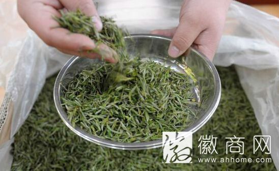 2015年安徽春茶