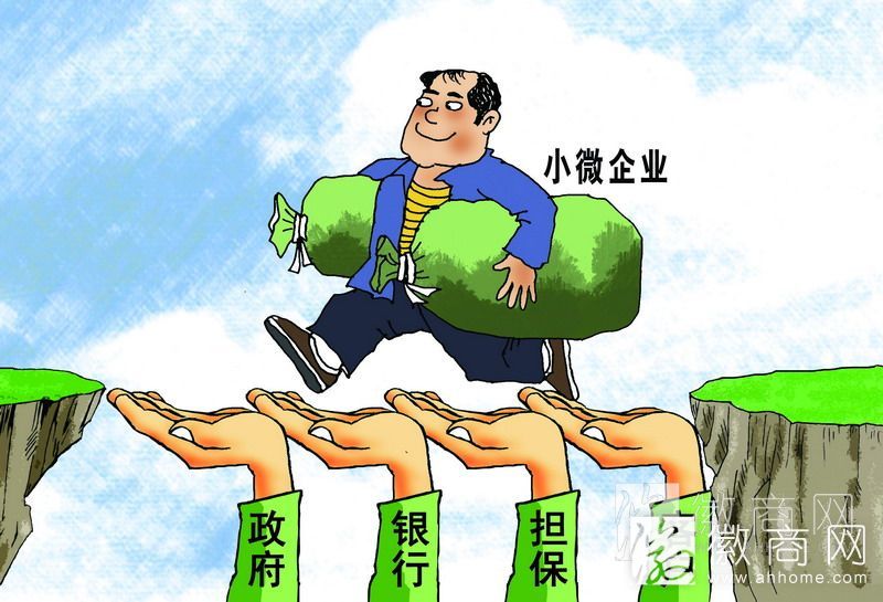 亳州在安徽率先建设个人和<a href='display.asp?id=14047'  target='_blank'>小微企业</a>网上贷款平台