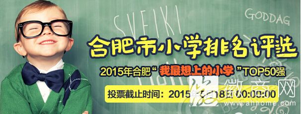 合肥小学排名前十的学校
