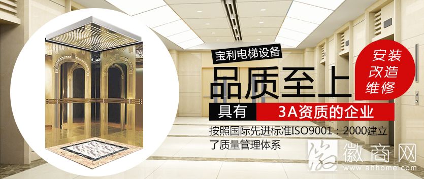 安徽宝利电梯设备有限公司