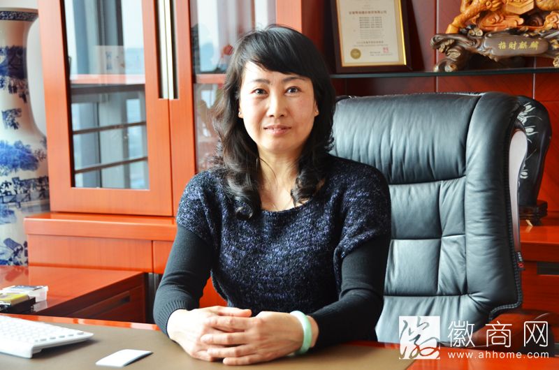 安徽琴海建材商贸有限公司总经理王树琴女士