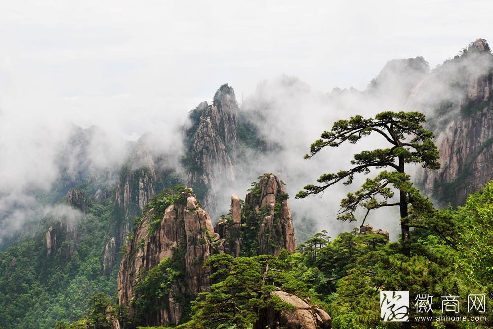 2014中国旅游百强城市榜单揭晓 安徽合肥<a href='display.asp?id=12239'  target='_blank'>黄山</a>等四市上榜