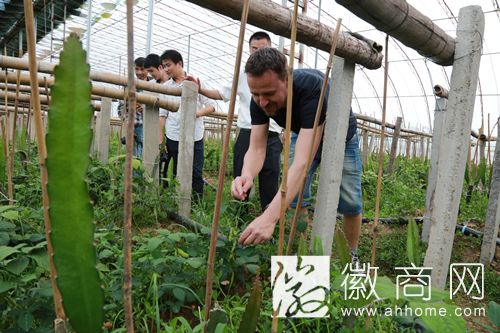 欧洲ROAN乐队