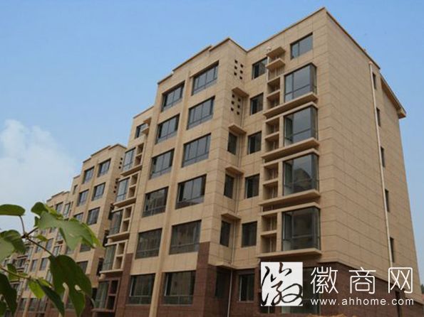 合肥伊仕图新型材料有限公司案例