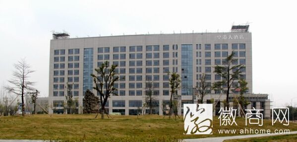 合肥新桥机场空港大<a href='display.asp?id=18084'  target='_blank'>酒</a>店