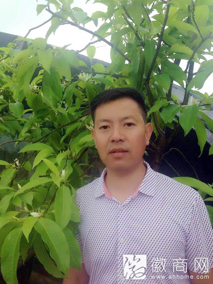 杨政龙