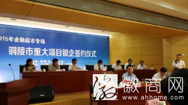 <a href='display.asp?id=11483' target='_blank'>铜陵</a>市银企签约