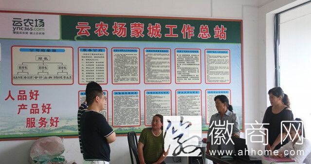 云<a href='display.asp?id=11638' target='_blank'>农场</a>蒙城工作总站