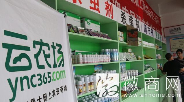 云农场蒙城工作总站