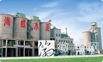 11家<a href='display.asp?id=12270' target='_blank'>皖企</a>入围中国500强排行榜 海螺水泥位居安徽第一