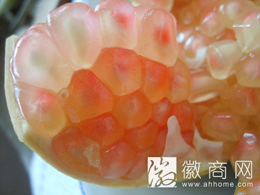 怀远石榴