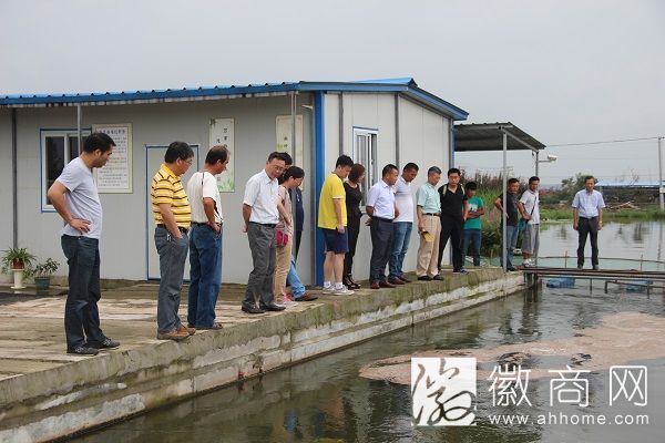 全国低碳高效池塘循环流水养殖交流研讨会在铜陵举行