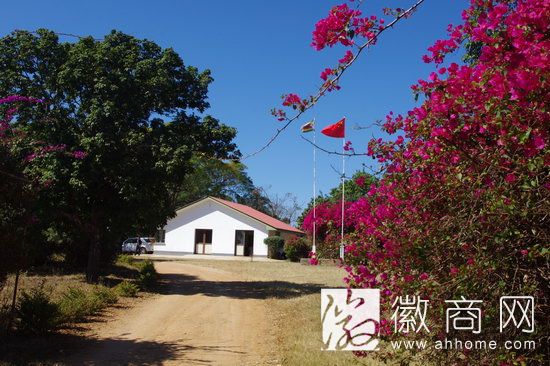 皖津公司