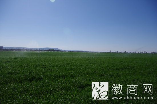 安徽农垦集团