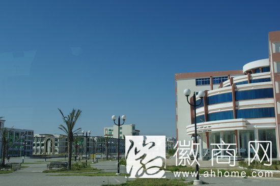 <a href='display.asp?id=7329' target='_blank'>安徽建工集团</a>