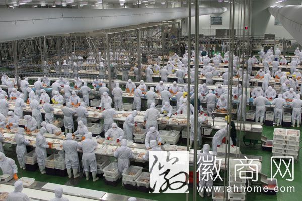 安徽嘉吉