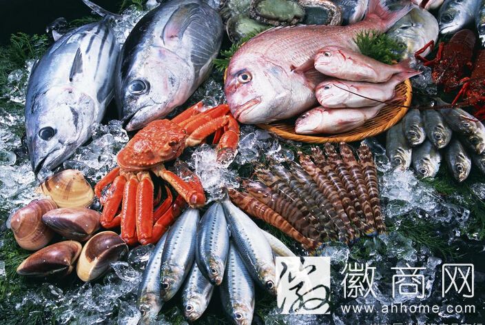 进境冰鲜水产品