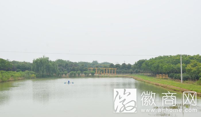 合肥市木兰瑞元生态<a href='display.asp?id=11790'  target='_blank'>农业</a>