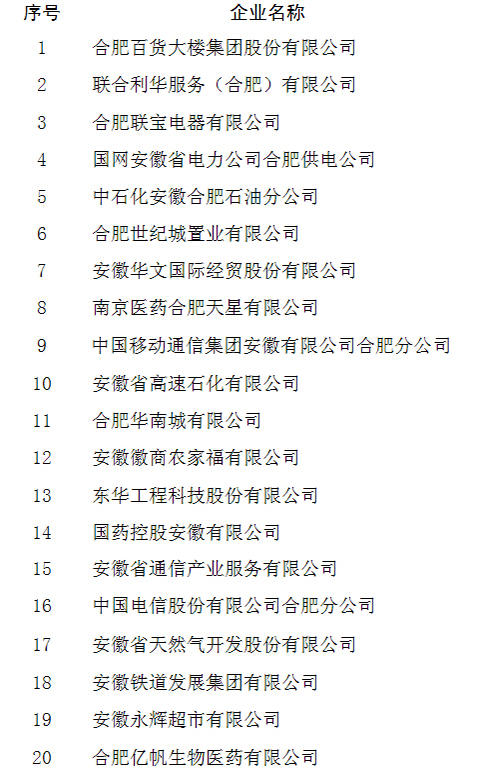 2015合肥服务业企业20强