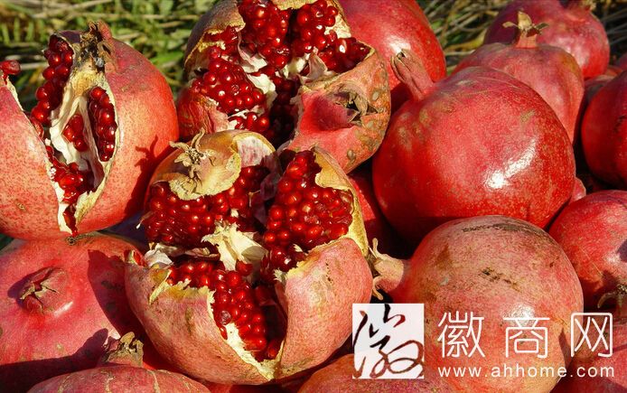 第六届<a href='display.asp?id=14027' target='_blank'>淮北</a><a href='display.asp?id=11711' target='_blank'>石榴</a>文化<a href='display.asp?id=14028' target='_blank'>旅游</a>节