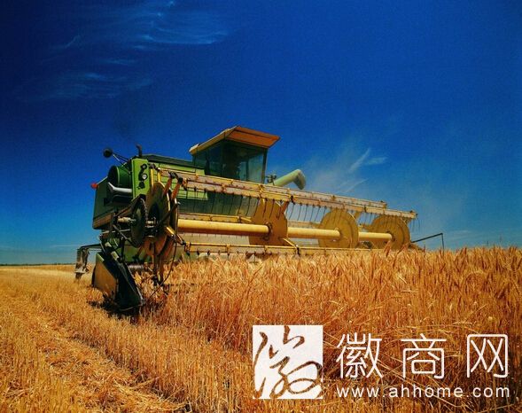 生态农业产业化