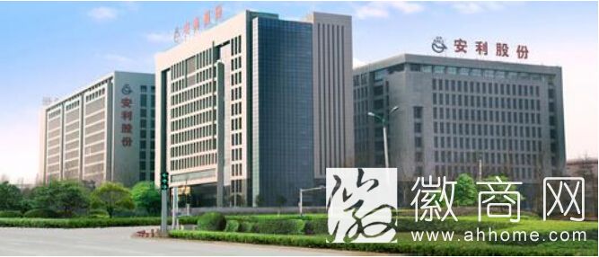 <a href='display.asp?id=7364' target='_blank'>安利股份</a>
