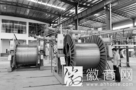 安徽电缆股份有限公司