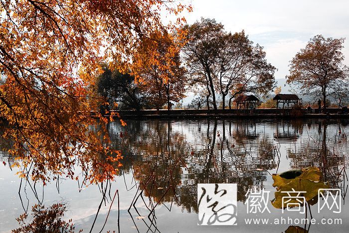 宏村-中国画里乡村