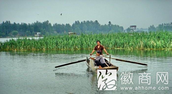 <a href='display.asp?id=11417'  target='_blank'>淮南</a>渔业