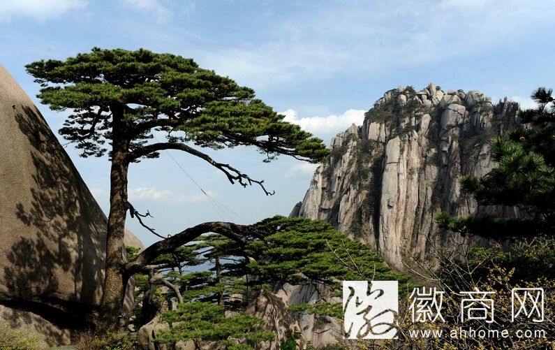 <a href='display.asp?id=12239'  target='_blank'>黄山</a>