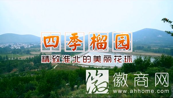 淮北石榴节