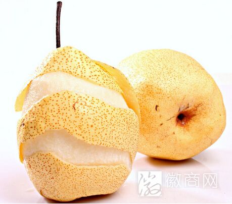 砀山酥梨