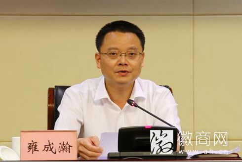 池州市长雍成瀚