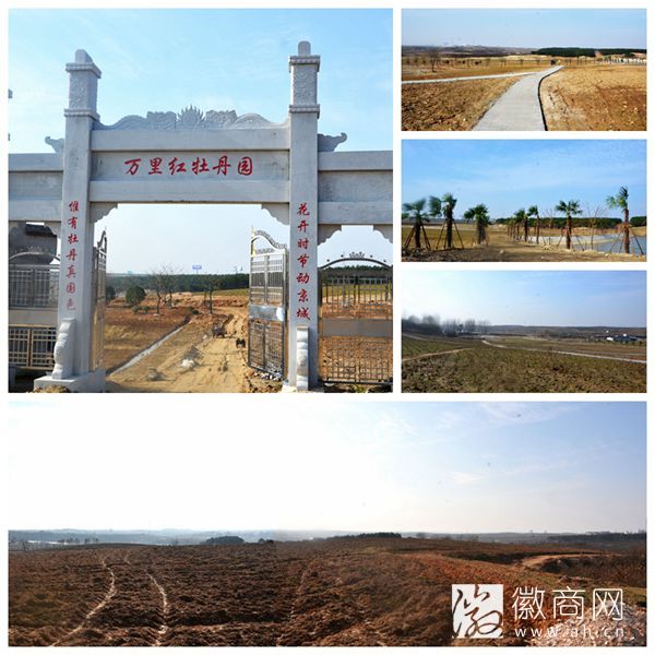 万里红牡丹园