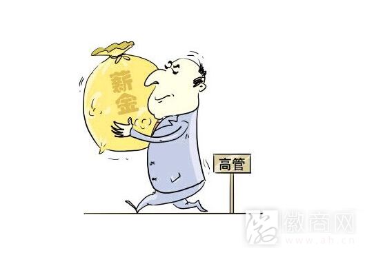 上市公司高管薪酬