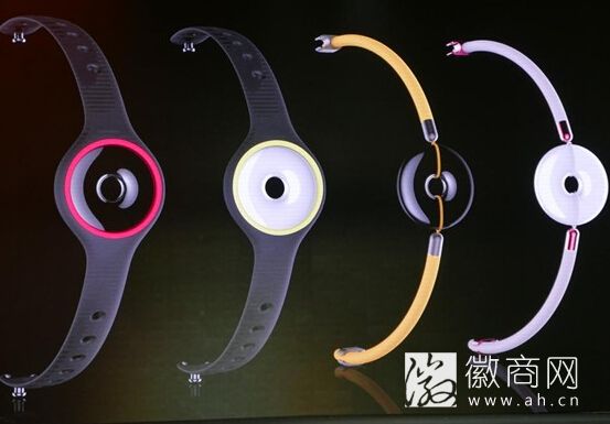 Amazfit<a href='display.asp?id=14149'  target='_blank'>智能手环</a>
