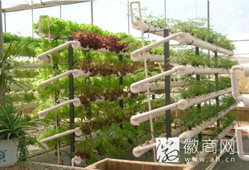 生态<a href='display.asp?id=11790' target='_blank'>农业</a>