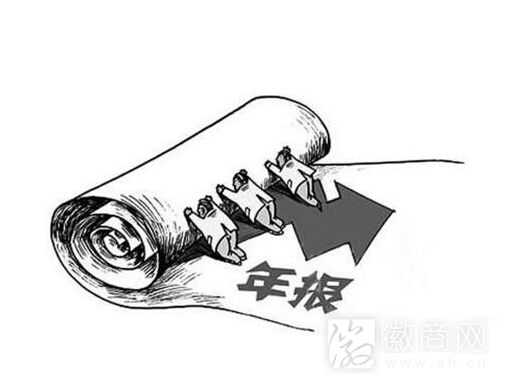 2015年年报