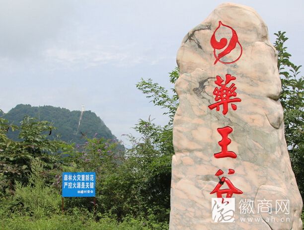 合肥药王谷
