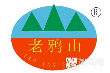 安徽老鸦山食品有限责任公司