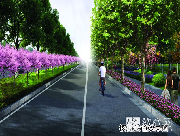 樱花大道效果图