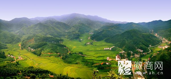 绿色家园