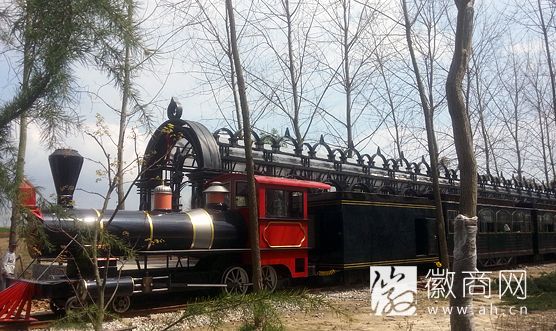 五一小长假合肥滨湖森林公园小火车增加班次