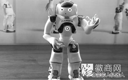 多功能仿人机器人