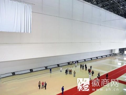 安徽影星银幕集团公司在<a href='display.asp?id=11916'  target='_blank'>芜湖</a>发布100*25世界级超大银幕